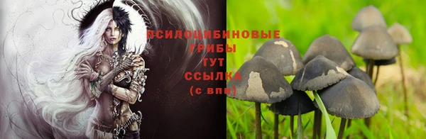 гашиш Козловка
