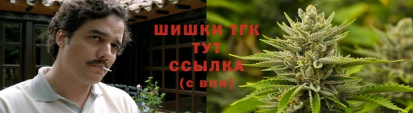 герыч Козельск