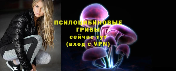 герыч Козельск