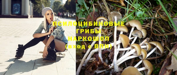 герыч Козельск