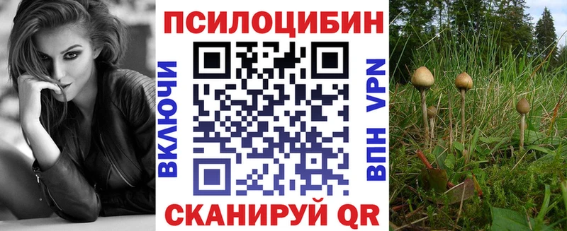 shop телеграм  Киржач  Псилоцибиновые грибы Magic Shrooms 