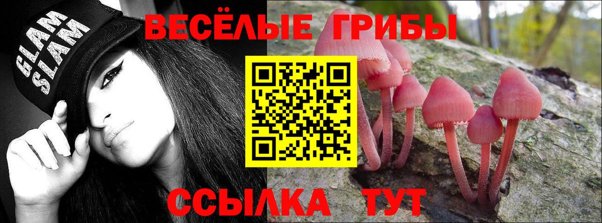 Галлюциногенные грибы Psilocybine cubensis  Галлюциногенные грибы мухоморы  Киржач  Вход с VPN 